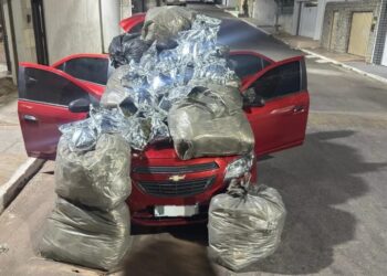 PM apreende 110 kg de maconha dentro de carro abandonado por motorista em Flores, no Sertão
