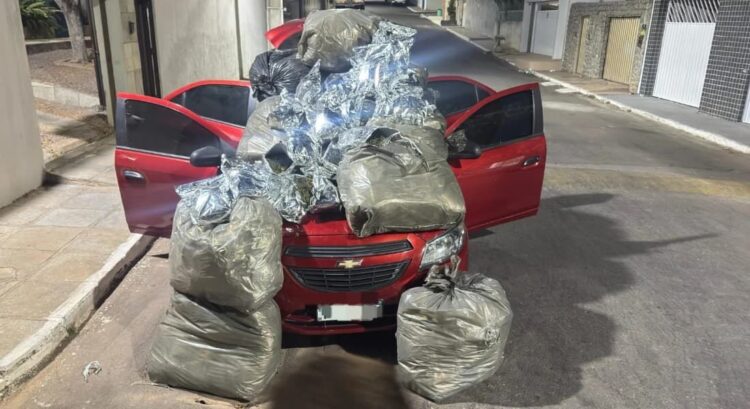 PM apreende 110 kg de maconha dentro de carro abandonado por motorista em Flores, no Sertão